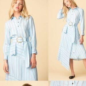 10 Crosby Derek Lam Belted Asymmetrical Striped Shirt